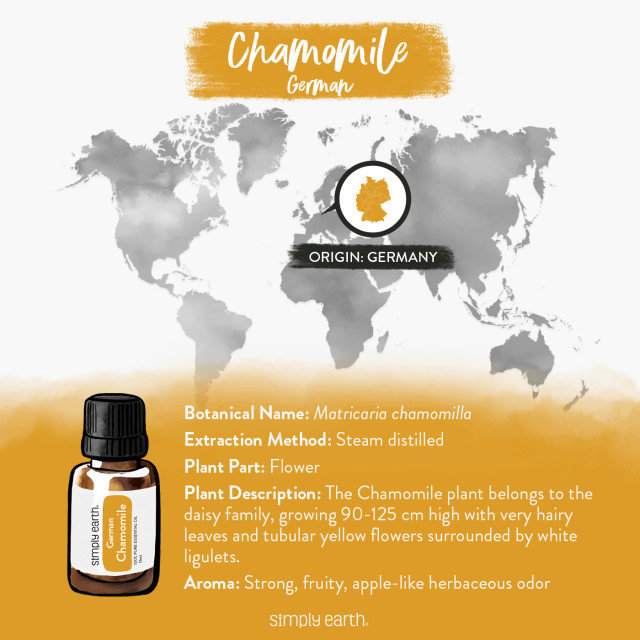 Chamomile (German) Essential Oil